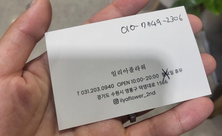 일리아플라워 이미지