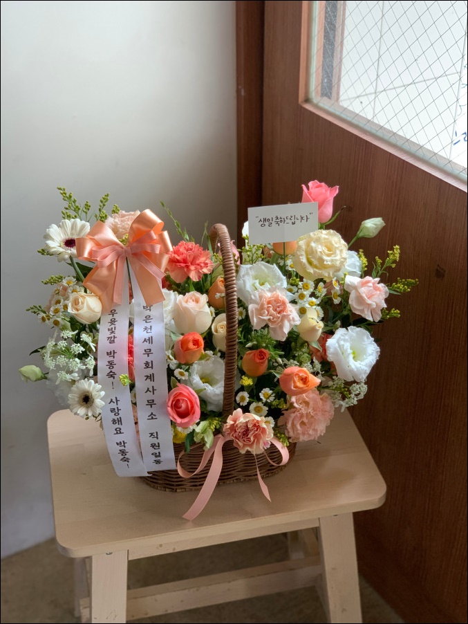 마셀 이미지