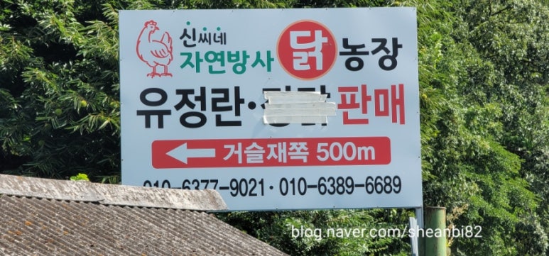 신씨네농장 이미지