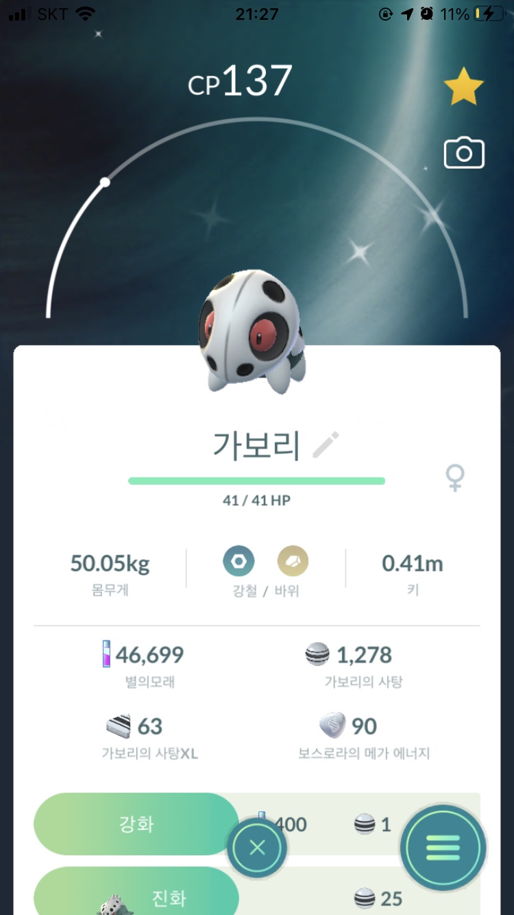 가보리 이미지