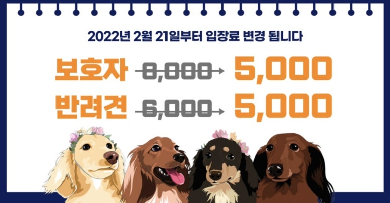 고고독 이미지