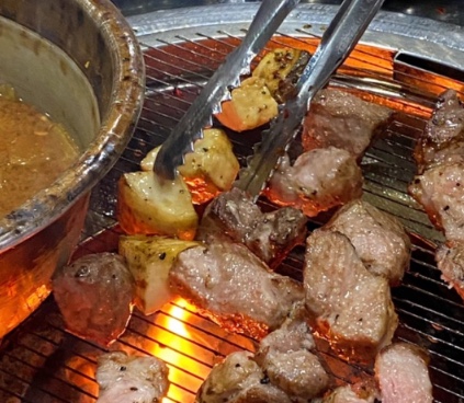 토가돈 이미지