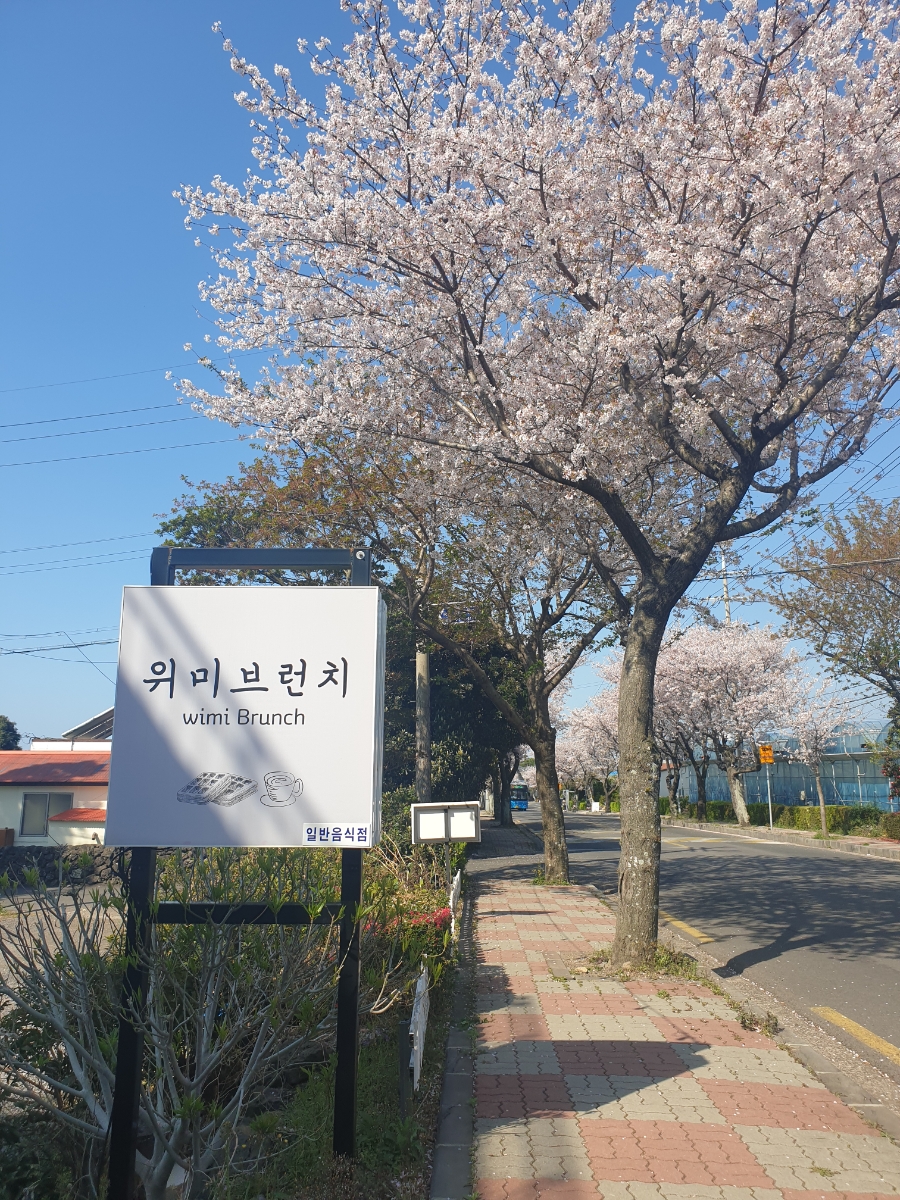 위미브런치 이미지