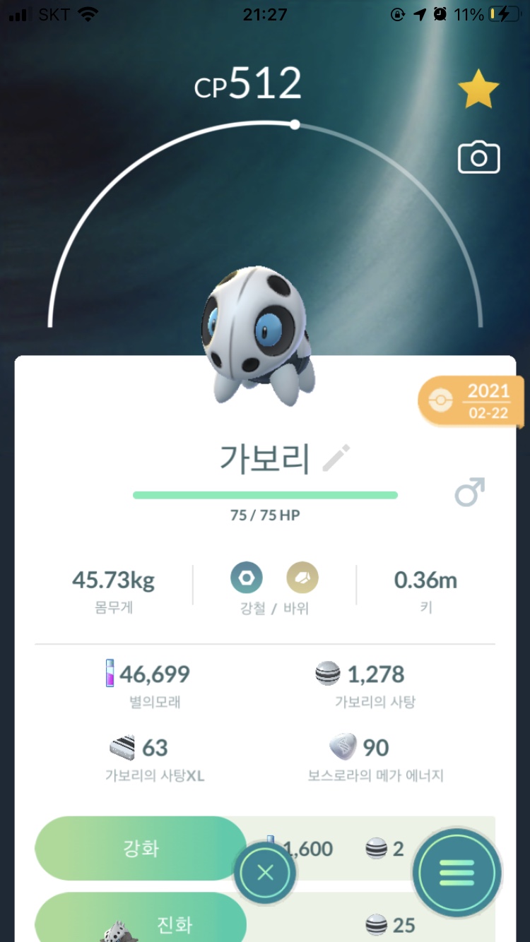 가보리 이미지