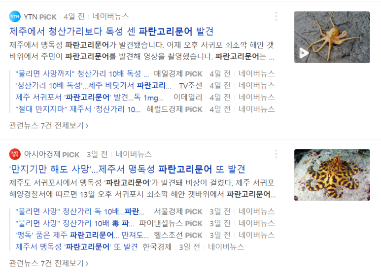 파란섬 이미지