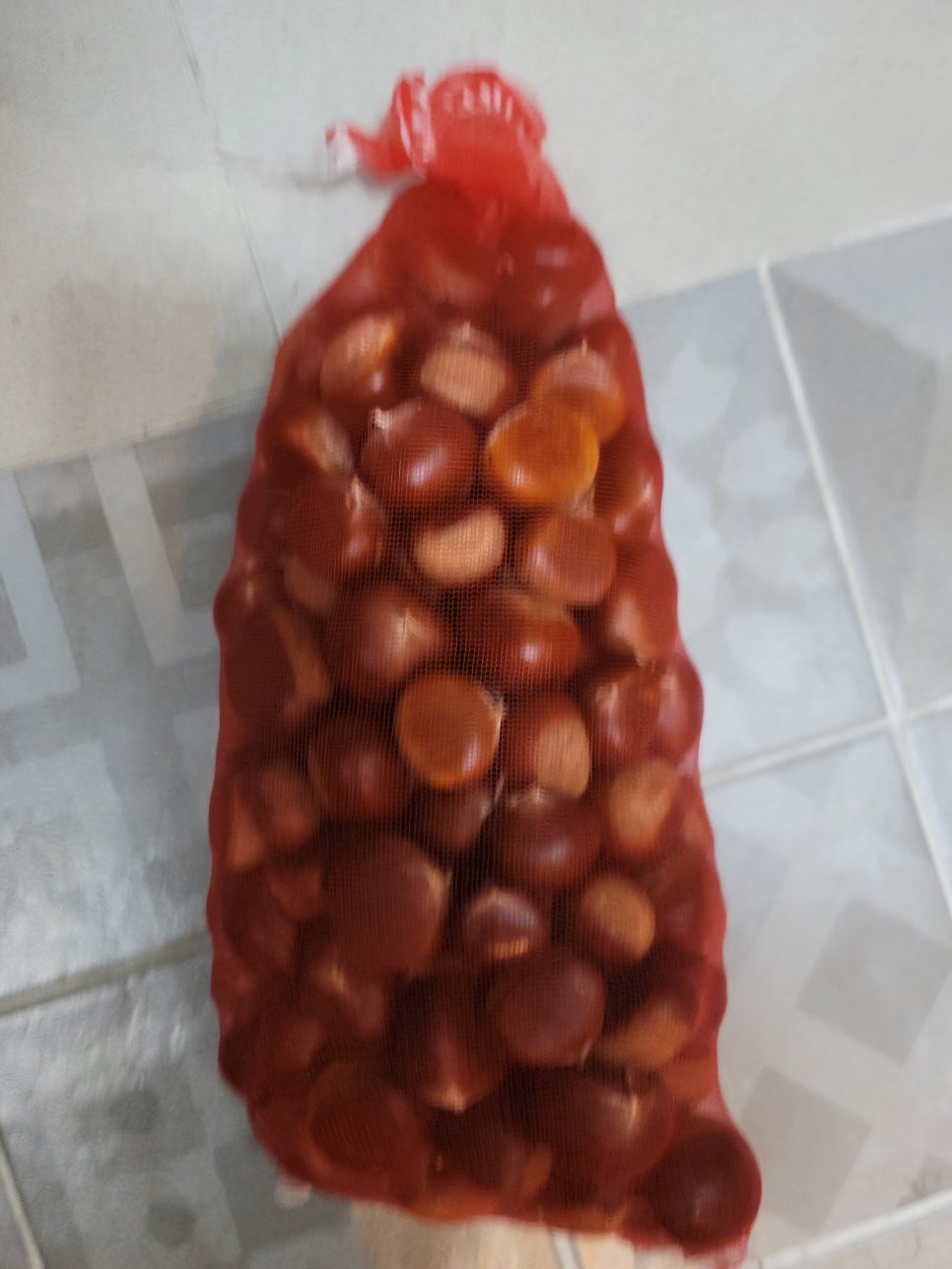 트리팜 관광농원 이미지
