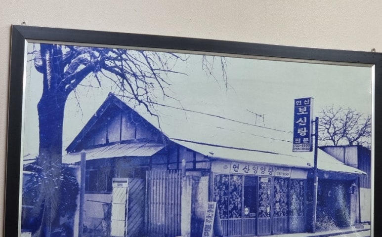 연산소머리 이미지