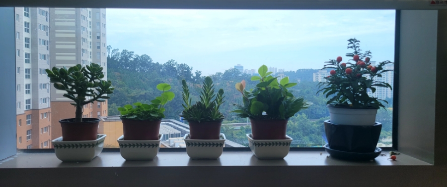 백미경꽃누르미공방 이미지