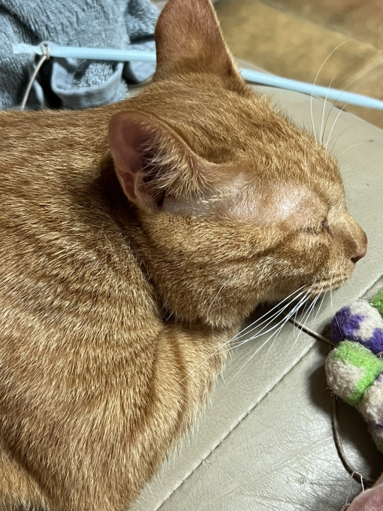 미진축산 우암점 이미지