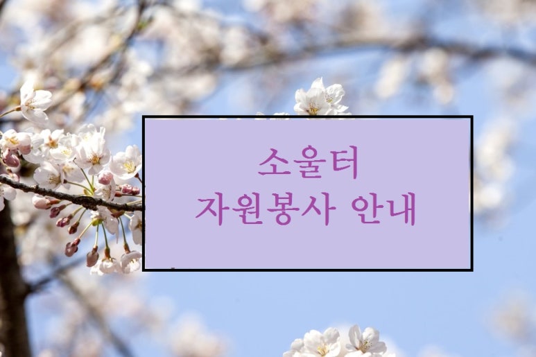 소울터보호작업장 이미지