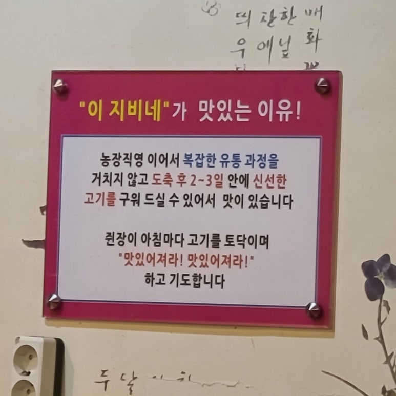 이지비네 이미지