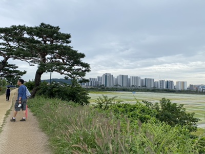 씨디피(CDP) 이미지