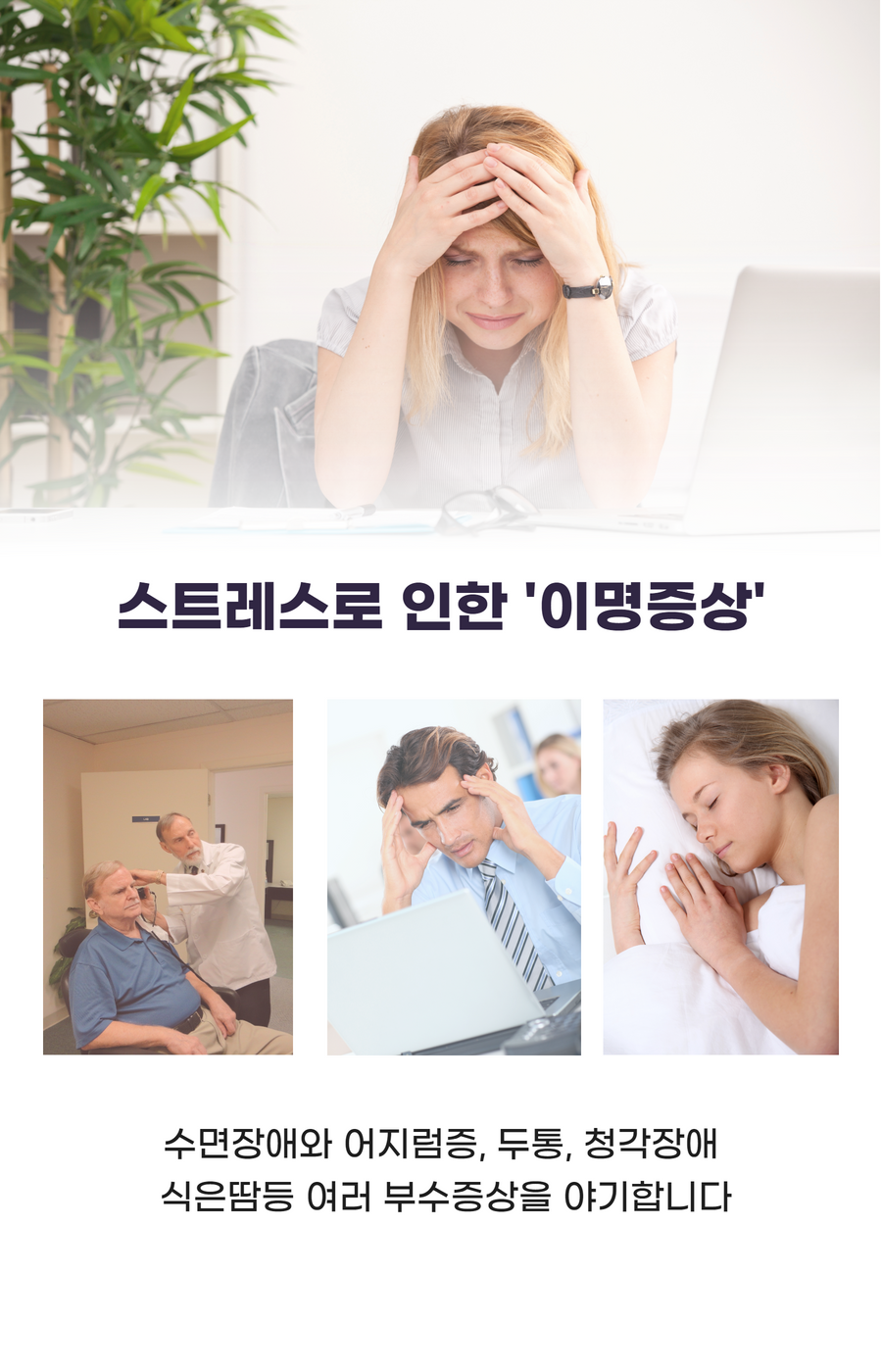 진성한의원 이미지