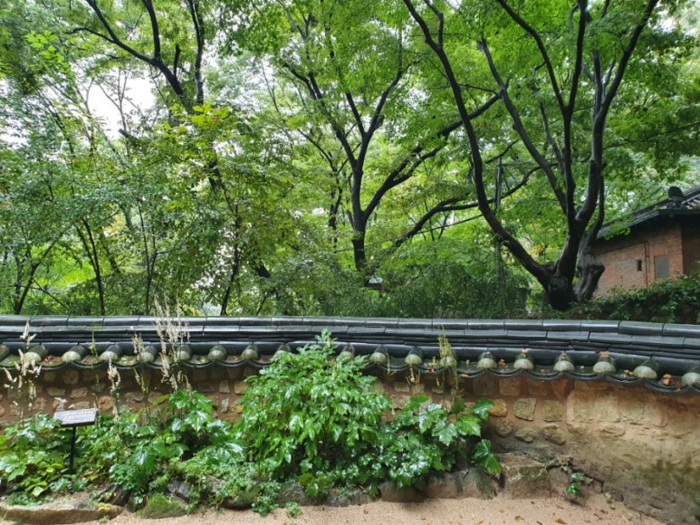 수연상사 이미지