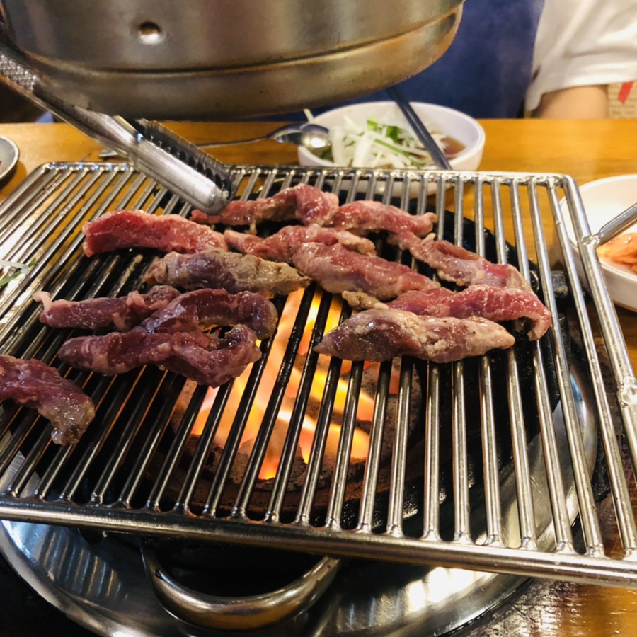 나노갈매기 이미지