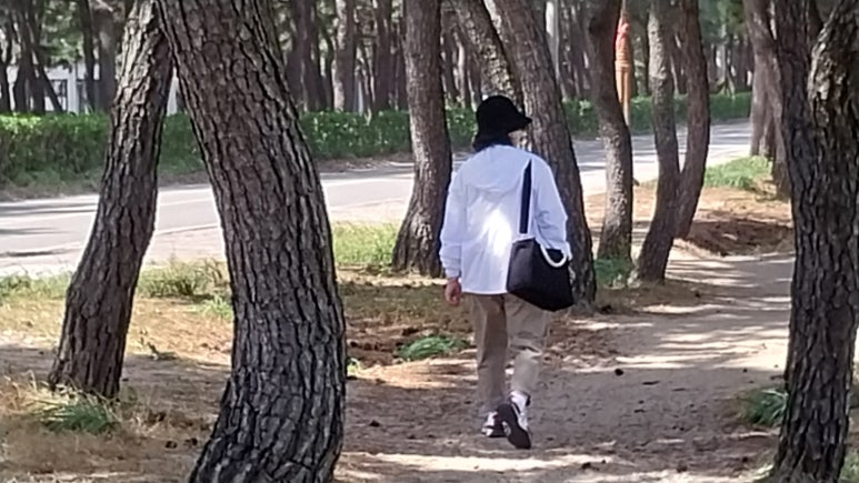 푸른솔밭식당 이미지