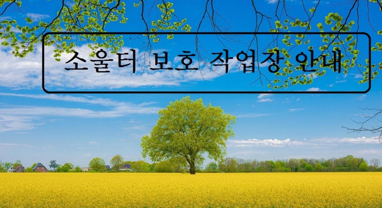 소울터보호작업장 이미지