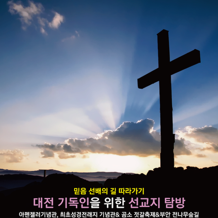주원항공여행사 이미지