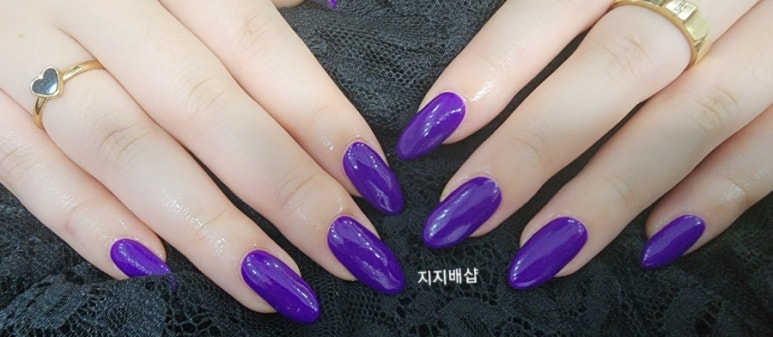 지지배샵 이미지