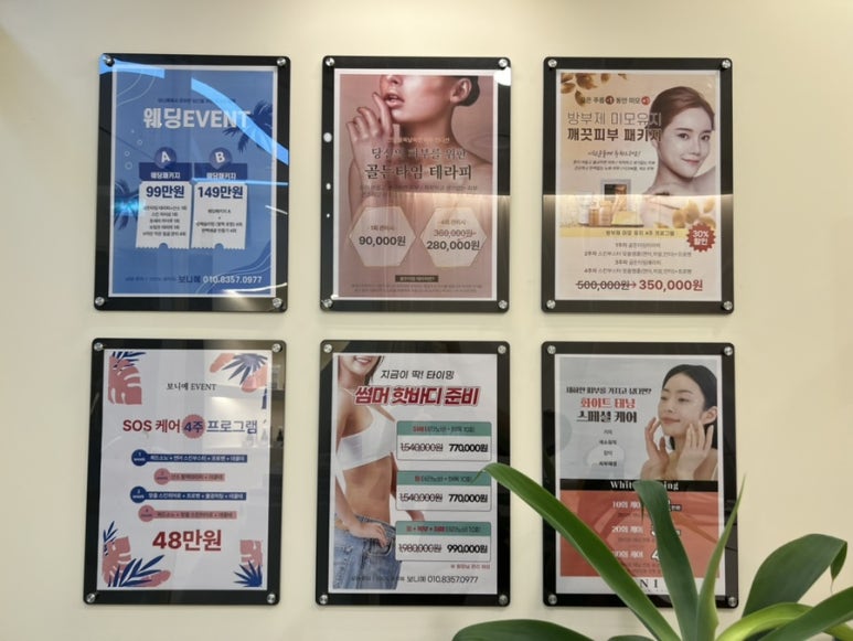 보니예 이미지