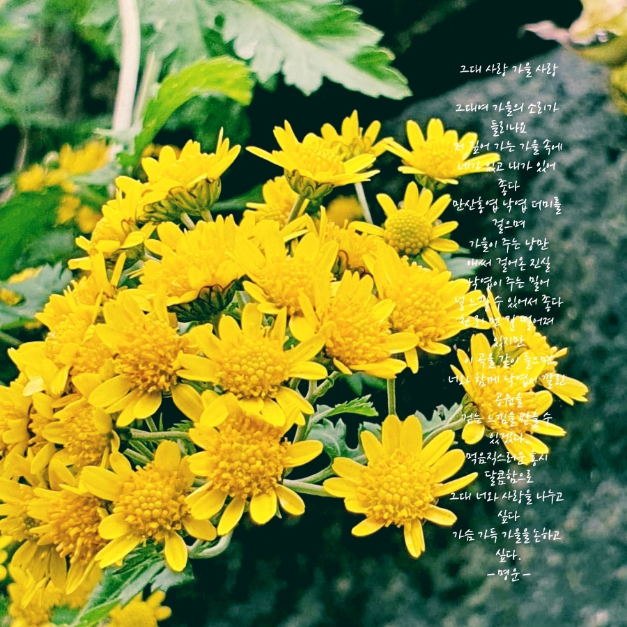 산골이야기 이미지