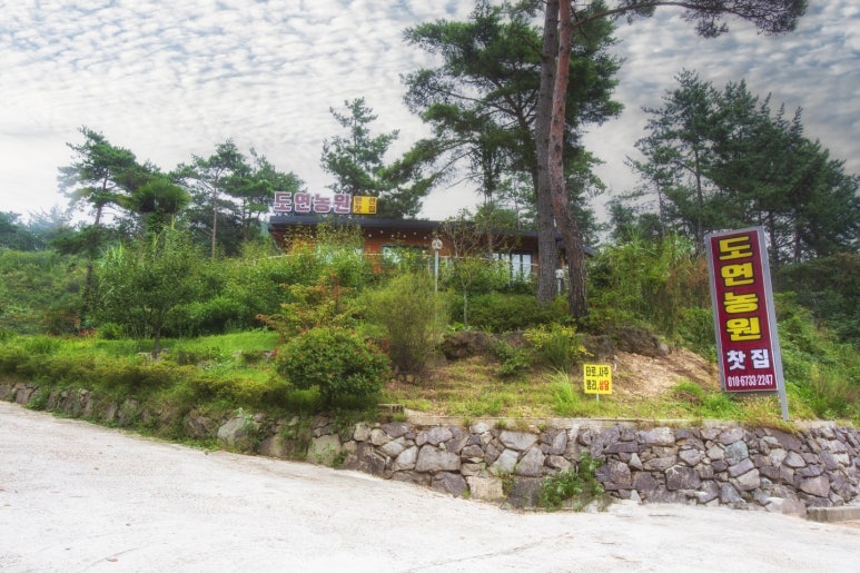 도연농원 이미지