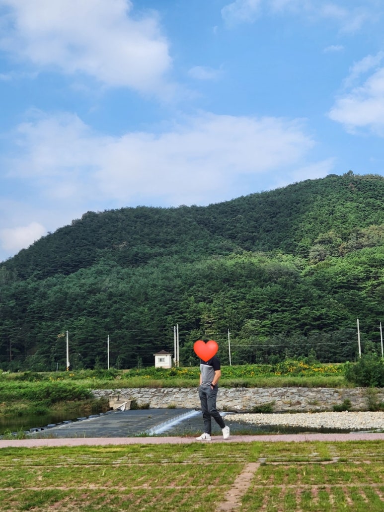 용담베리숲 이미지