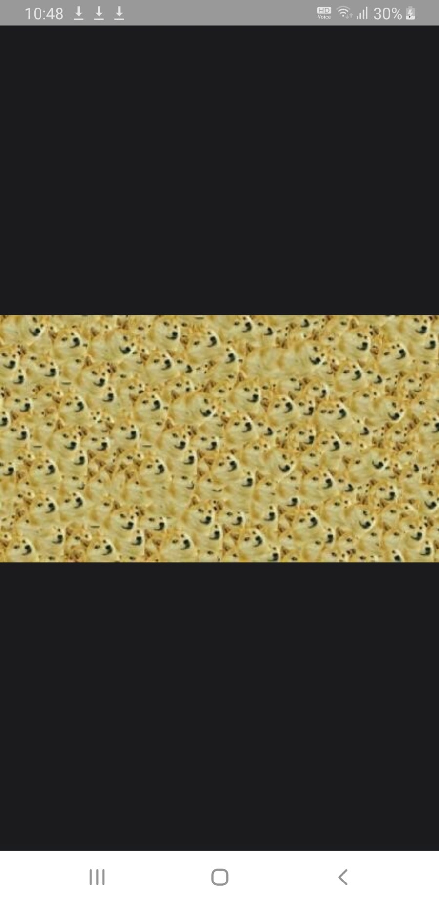 도지(DOGE) 이미지