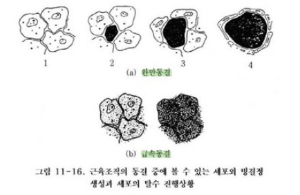 성대식품 이미지
