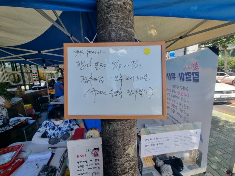 영등포시니어클럽 이미지