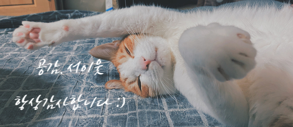 이가주당 이미지