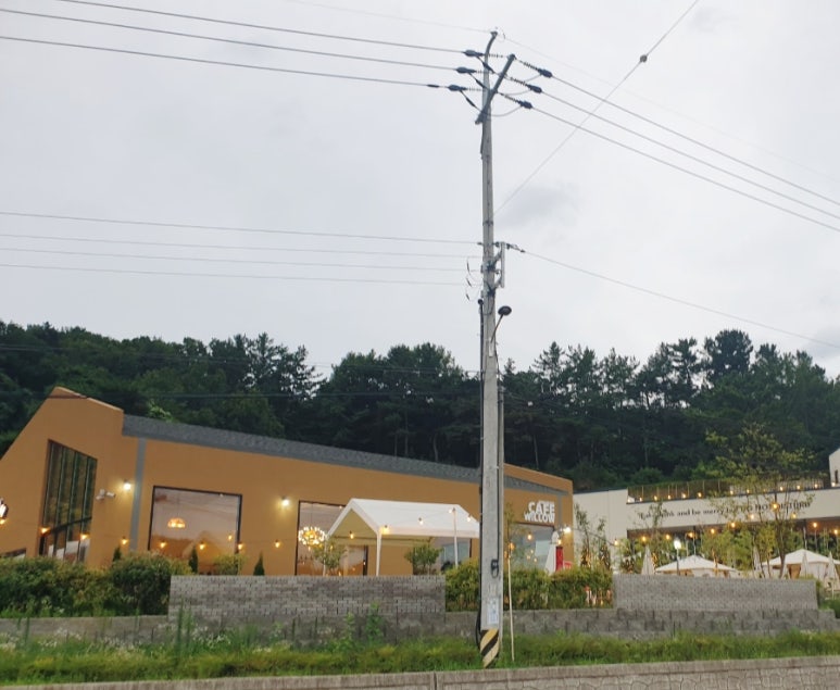 윌로우반곡247 이미지