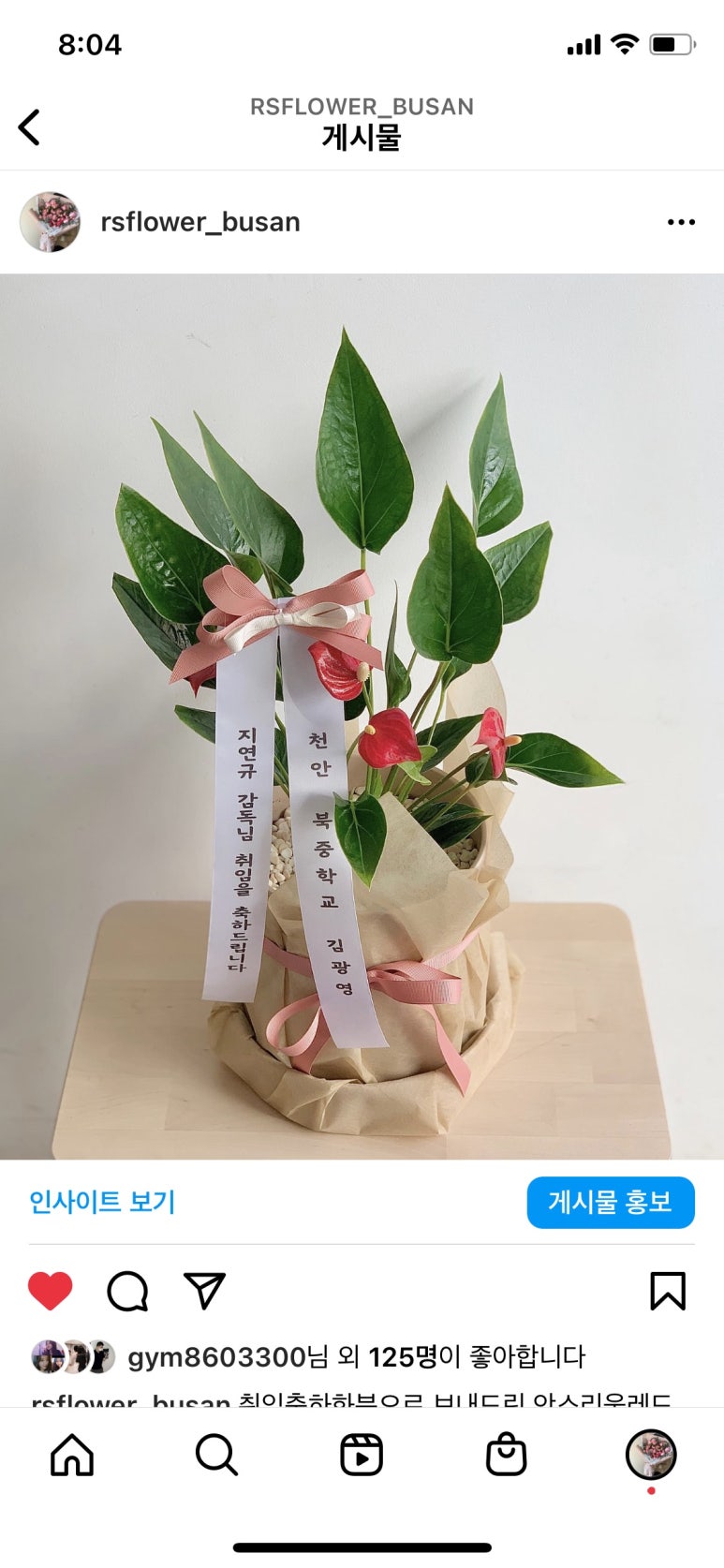마셀 이미지