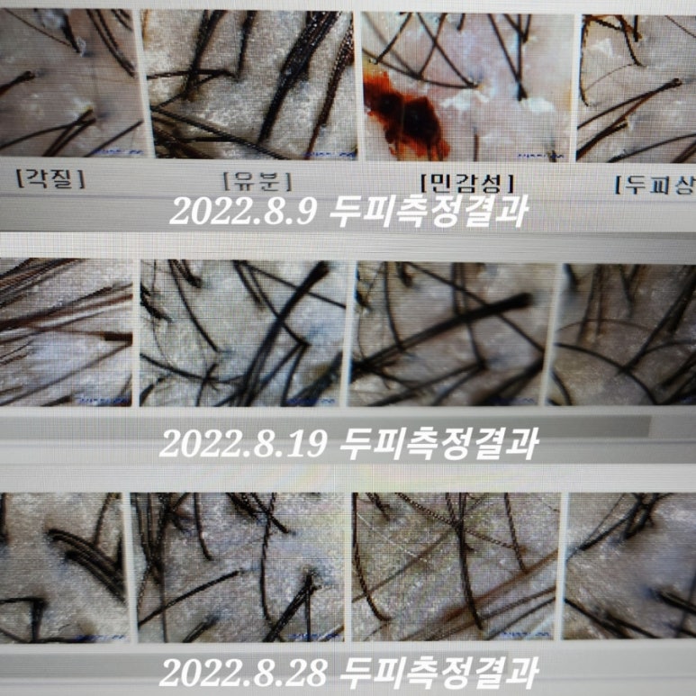 크리니시아오산 이미지