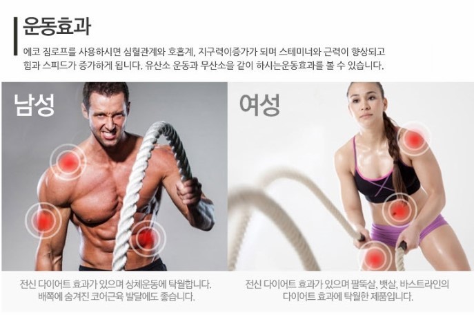 로프짐 이미지