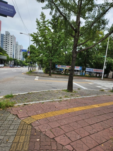 성심떡방앗간 이미지