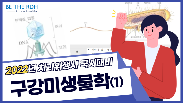 메듀플 이미지
