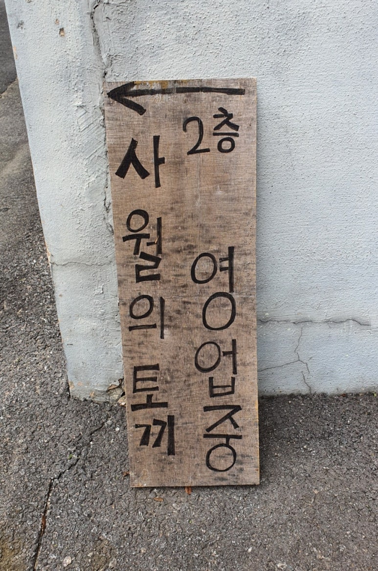 사월의토끼 이미지