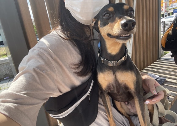 바다뜰이야기펜션 이미지