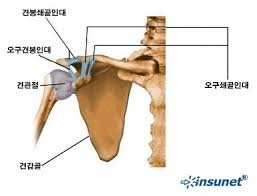 약손경락 이미지