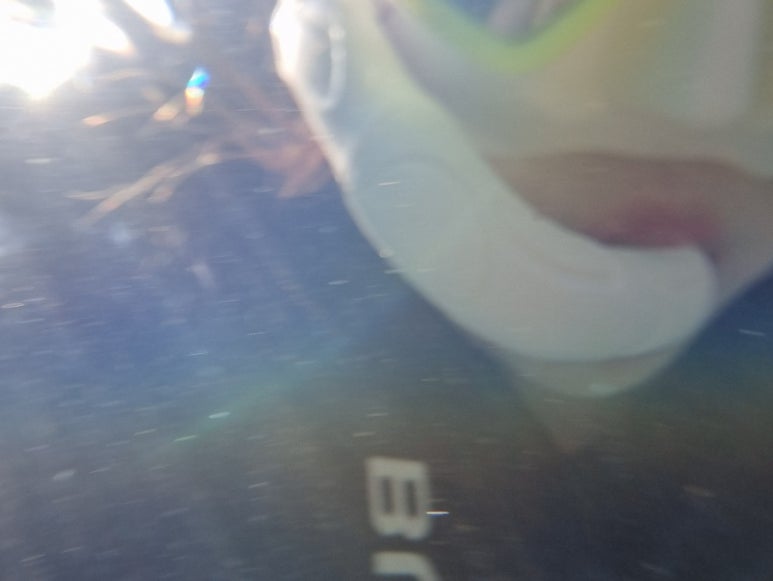 춤추는고래펜션 이미지