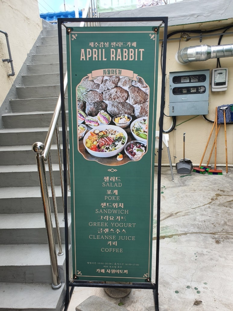 사월의토끼 이미지