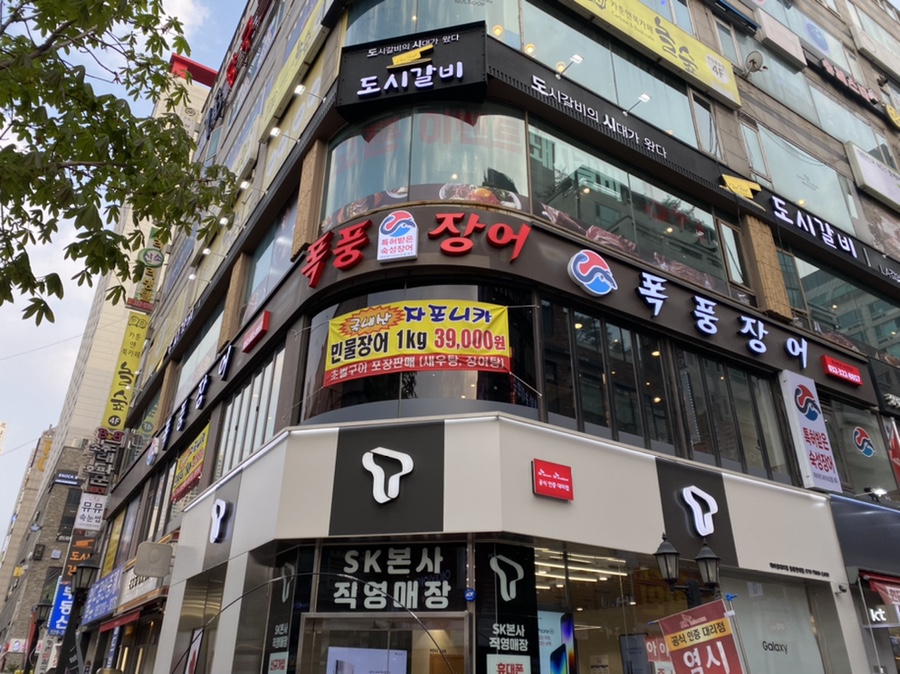 폭풍장어중동 이미지