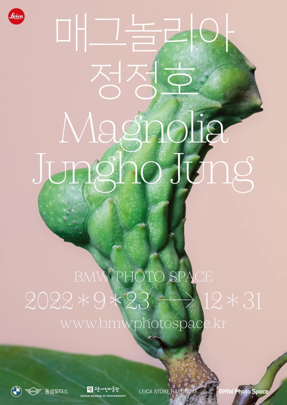 고은모터스 이미지