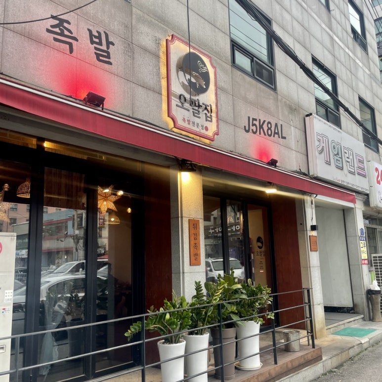 오팔집 이미지