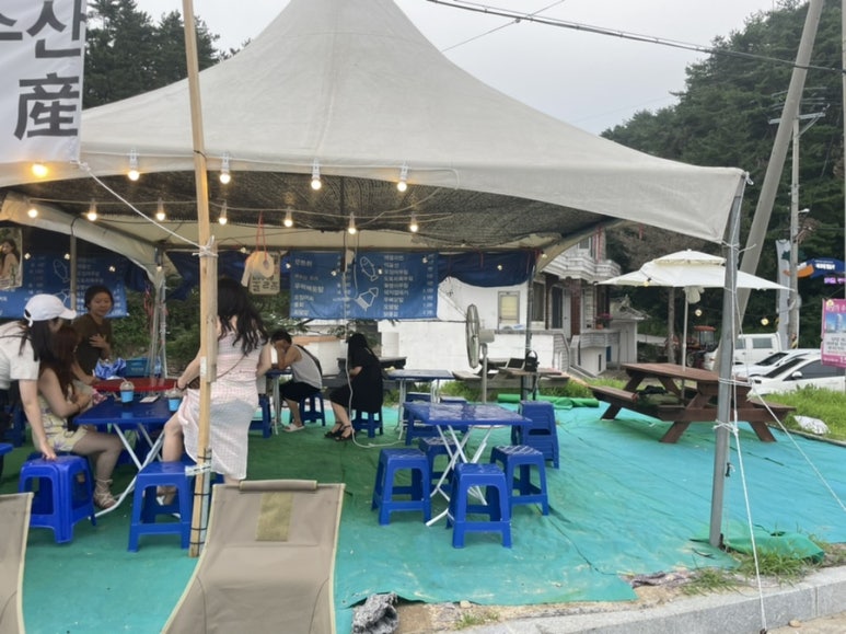 야옹수산 이미지