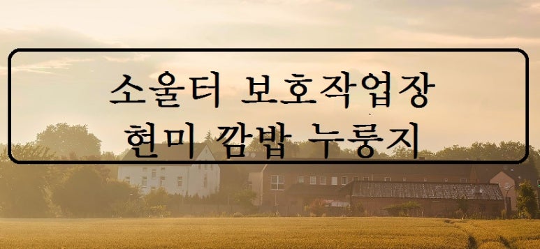 소울터보호작업장 이미지