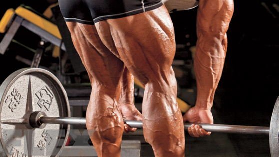 잘빠GYM 이미지