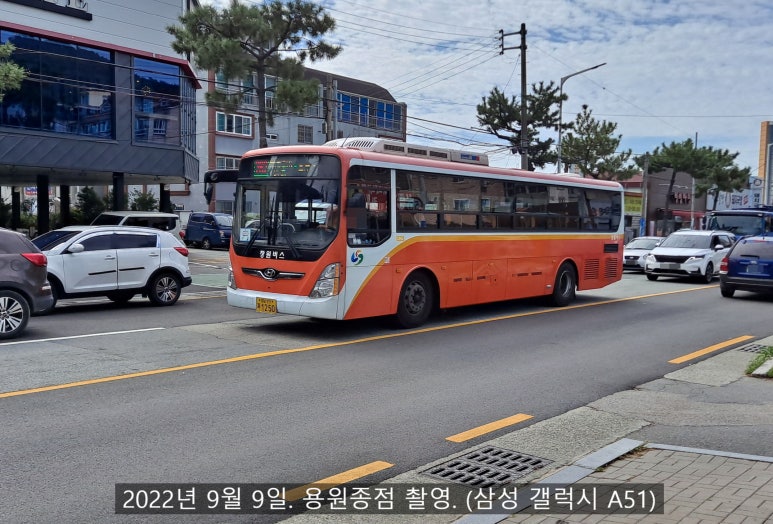 덕산농협주유소 이미지