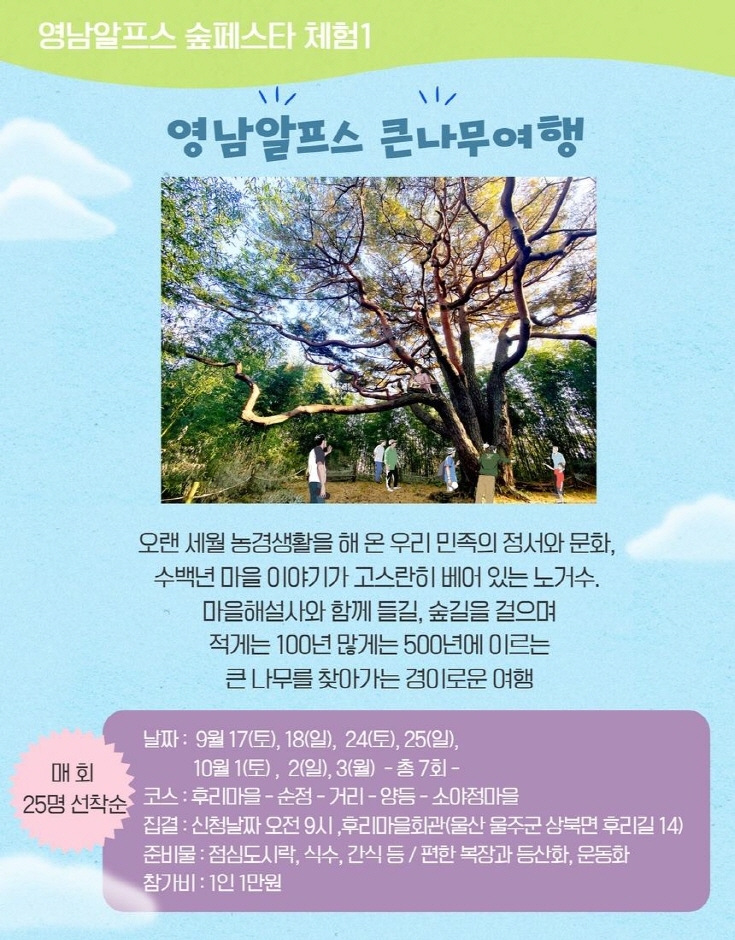 숲과나무협동조합 이미지